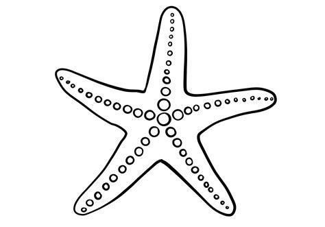 starfish pictures to draw.
